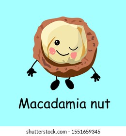 Macadamia nut. Cute nut character with hands and eyes. Cartoon fruit or vegetable. Useful vegan food