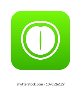 Macadamia nut icon digital green for any design isolated on white vector illustration