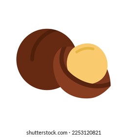 Macadamia nut icon. Whole and half macadamia isolated on white background. Vector illustration