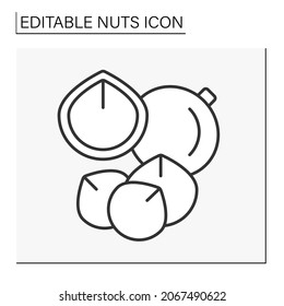  Macadamia Nut Line Icon. Delicious Snack. Special Ingredient For Granola, Fudge, Muffins, Or In Macadamia Nut Crusted Chicken. Nuts Concept. Isolated Vector Illustration. Editable Stroke