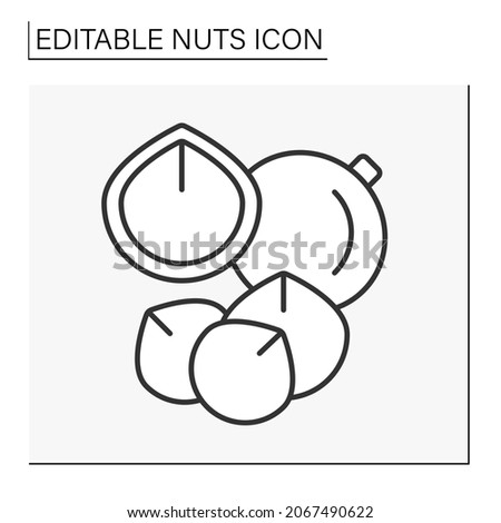  Macadamia nut line icon. Delicious snack. Special ingredient for granola, fudge, muffins, or in macadamia nut crusted chicken. Nuts concept. Isolated vector illustration. Editable stroke