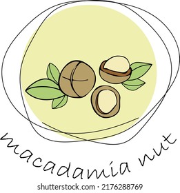 Macadamia nut logo. Round linear logo of macadamia on white background.Vegetarian food or snack vector illustration.
