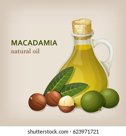 Macadamia nut oil. Vector illustration.