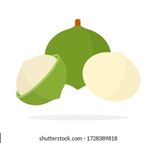 Macadamia nut, peeled and in shell Nuts flat icon vector isolated.