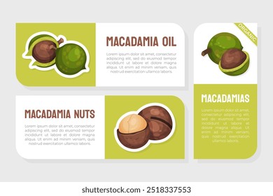 Macadamia Nut Product Label with Kernel and Shell Vector Template