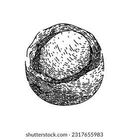 macadamia nut raw hand drawn. oil leaf, top view, seed food, layer core, kernel texture macadamia nut raw vector sketch. isolated black illustration