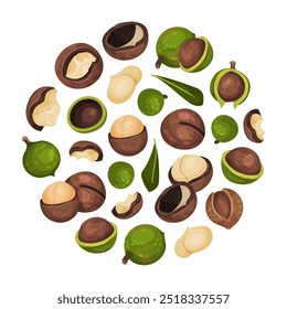 Macadamia Nut Round Composition with Kernel and Shell Vector Template