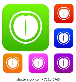 Macadamia nut set icon color in flat style isolated on white. Collection sings vector illustration