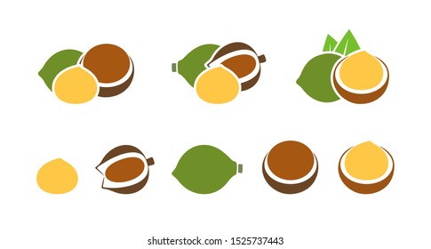 Macadamia nut set. Logo. Isolated macadamia nut on white background