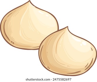 Macadamia Nuts Colored Detailed Illustration.