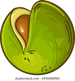 Macadamia Nuts Colored Detailed Illustration.
