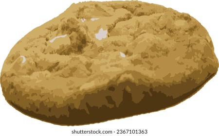 Macadamia nuts cookie isolated on a background vector
