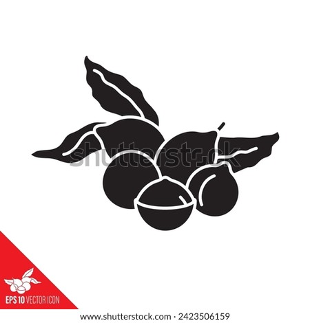 Macadamia nuts with leaves glyph vector icon for Macadamia Nut Day on September 4