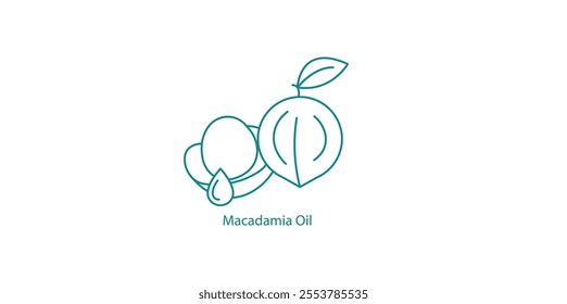 Macadamia Oil Gourmet Cooking Vector Icon