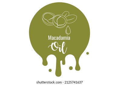 ilustración vectorial de diseño de etiqueta de aceite de macadamia