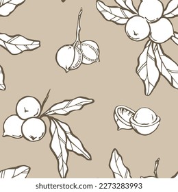 Patrón sin fisuras de Macadamia. Nueces, semillas, ramas y hojas dibujando sobre fondo beige. Ilustración vectorial.