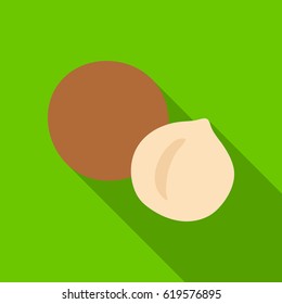 Macadamia. single icon in flat style vector symbol stock illustration.