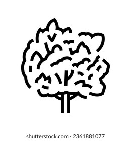 macadamia tree jungle amazon line icon vector. macadamia tree jungle amazon sign. isolated contour symbol black illustration