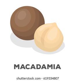 Macadamia.Different kinds of nuts single icon in cartoon style vector symbol stock illustration.