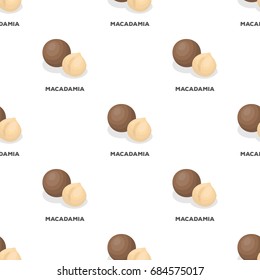 Macadamia.Different kinds of nuts single icon in cartoon style vector symbol stock illustration.
