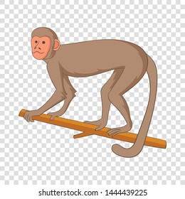 Macaque icon. Cartoon illustration of macaque vector icon for web