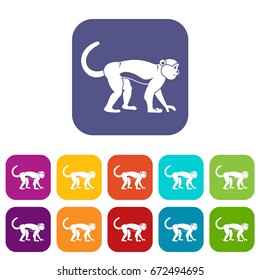 Macaque icons set vector illustration in flat style In colors red, blue, green and other