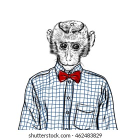 Macaque monkey hipster in a shirt , poster hand drawn illustration vector.