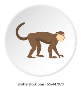 Macaque monkey icon in flat circle isolated on white background vector illustration for web