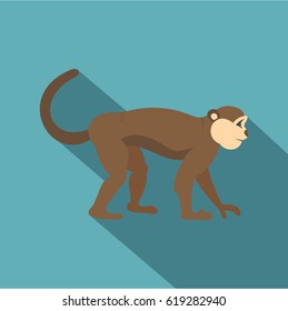 Macaque monkey icon. Flat illustration of macaque monkey vector icon for web