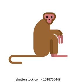 Macaque monkey isolated. Animal mammal wildlife vector