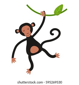 Macaque monkey rare animal vector.