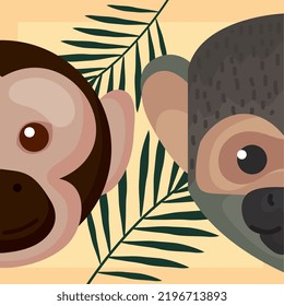 macaque and titi monkeys heads