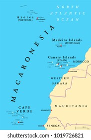 Macaronesia political map. Azores, Cape Verde, Madeira and Canary Islands. Collection of four archipelagos in the North Atlantic Ocean, off the coast of Africa. English labeling. Illustration. Vector.