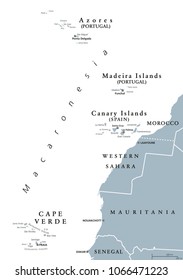 Macaronesia political map. Azores, Cape Verde, Madeira, Canary Islands. Collection of archipelagos in the Atlantic Ocean off the coast of Africa. English labeling. Gray illustration over white. Vector