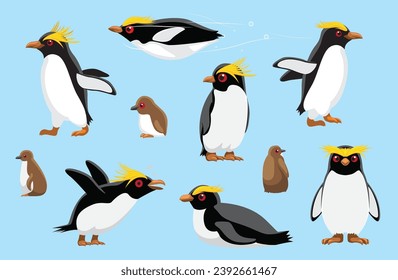 Macaroni Pinguin Chick Cute Bird Winter Set Cartoon Vektorgrafik