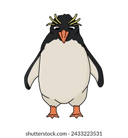 Macaroni penguin. Vector cartoon hand drawn illustration of the crested animal in Antarctica. Polar childish bird isolated on the white background