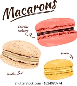 Macarons Collection Hand Drawn Illustration