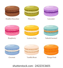 Macarons dessert with different flavors