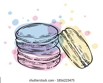 Macarons dessert, hand drawn vector, color