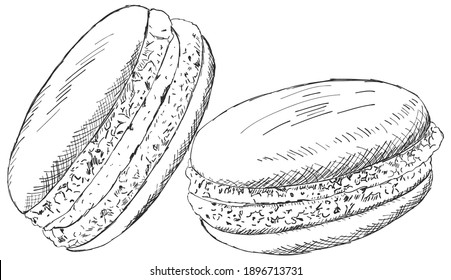 
macarones, boceto, dibujo de mano, postre, comida, cocción, ilustración, vector