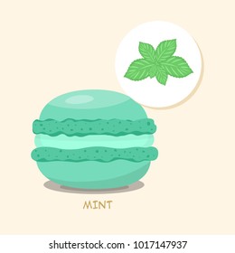 Macaroon with Mint taste, flavor and filling. Green macaroon with title. Tasty cake for your menu or poster. Template for your design. Vector illustration art