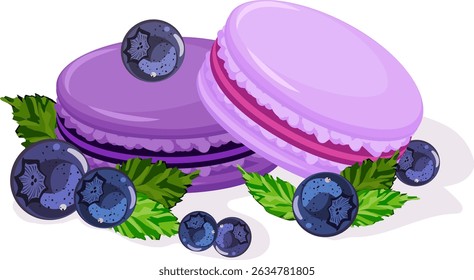 Macaroons and blueberries in illustration.Vector illustration with colorful macaroons and blueberries on transparent background with shadow.