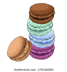 Macaroons. Colorful sweet cakes in vector. For your design.