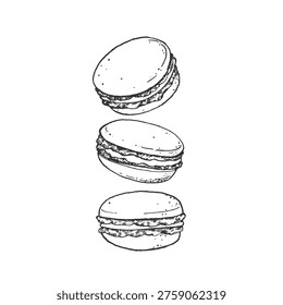 Macaroons hand-drawn vector illustration. Sketch of a sweet pastry. Isolated object, element for label design, menus, recipes, bakery, and coffee shop.