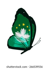 Macau flag butterfly - vector