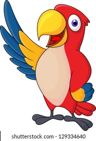 Macaw bid carton waving