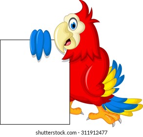 Macaw bird with blank sign 