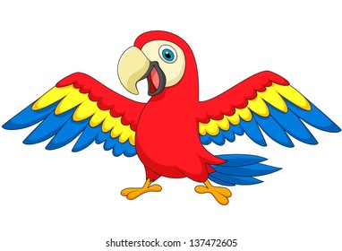 Macaw Bird Cartoon