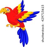 macaw bird cartoon flying