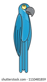 Macaw bird design